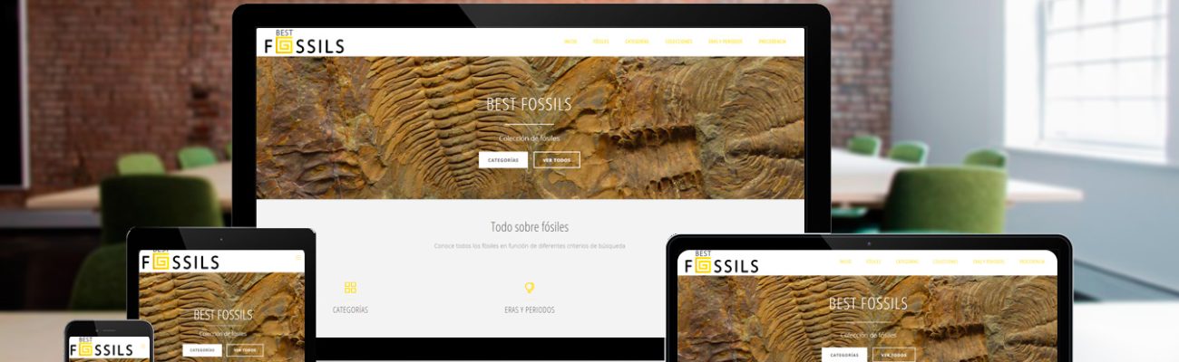 Diseño Web – Best Fossils