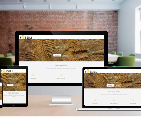 Diseño Web - Best Fossils