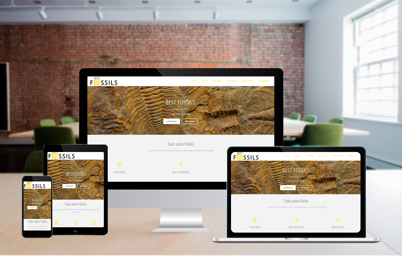 Diseño Web – Best Fossils