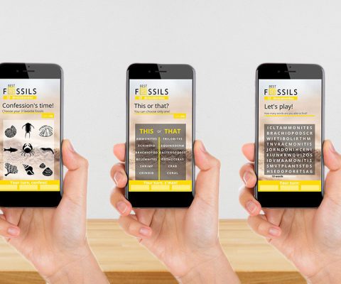 Historias para Instagram personalizadas - Best Fossils