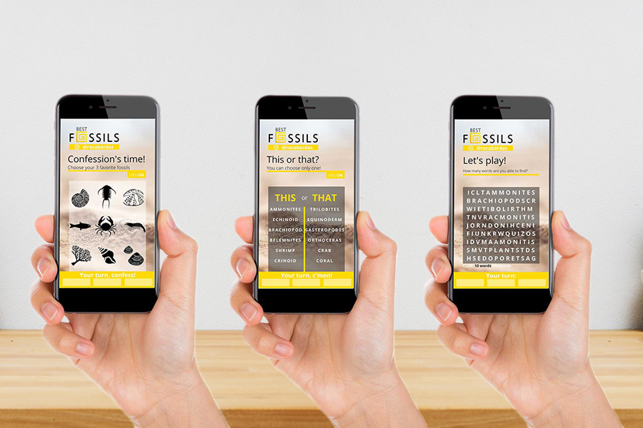 Diseño Gráfico – Historias para Instagram Best Fossils