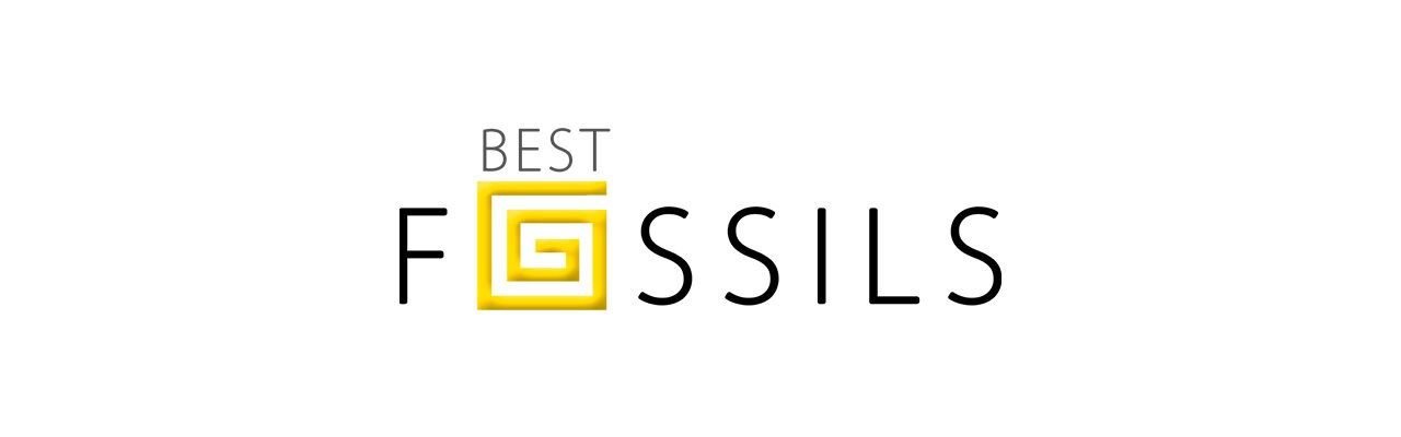 Diseño Gráfico – Logo Best Fossils