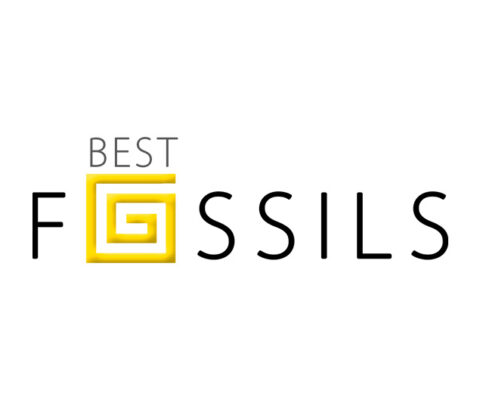 Best Fossils logo