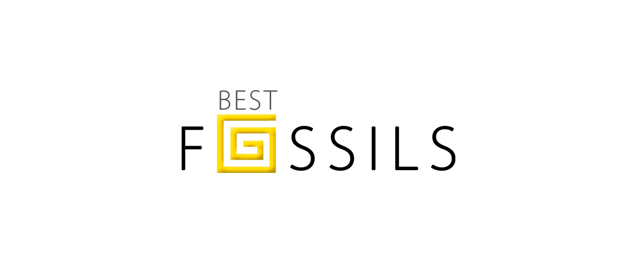 Diseño Gráfico – Logo Best Fossils