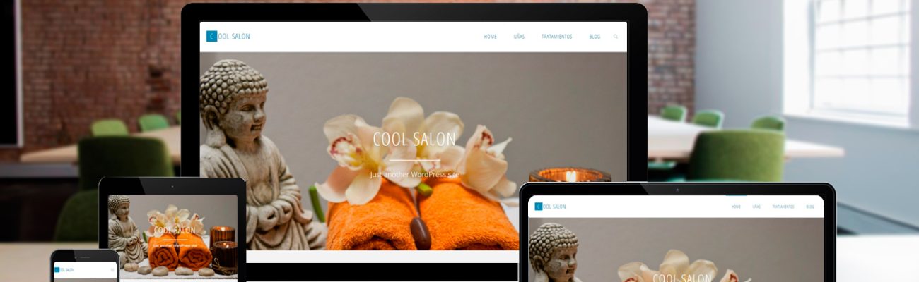 Diseño Web – Cool Salon