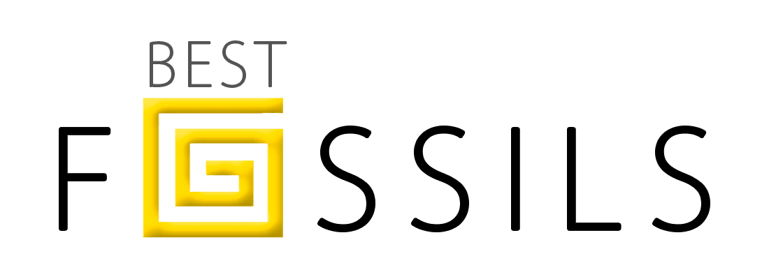 Logotipo para blog de fósiles