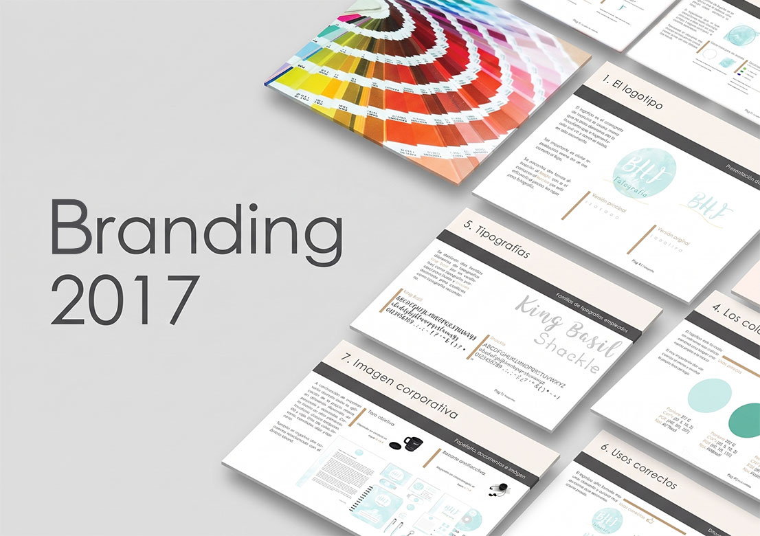 Proceso Diseño Web Profesional y Branding, Logotipo