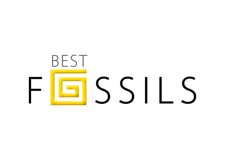 Best Fossils logo